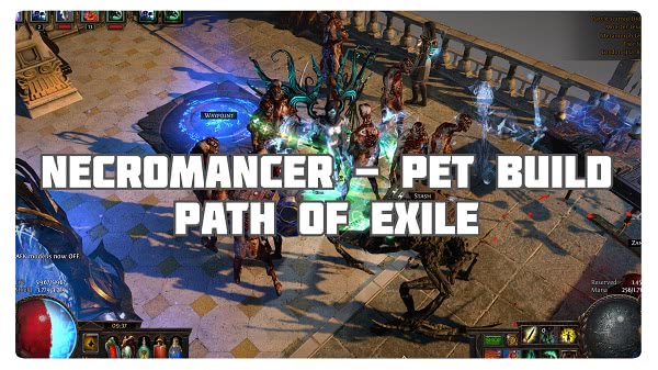 Necromancer: PET Build
